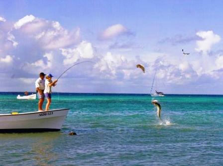 Fliegenfischen im Korallenarchipel Los Roques