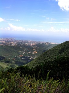 Cerro El Copey