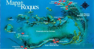 Die besten Tauchspots in Los Roques