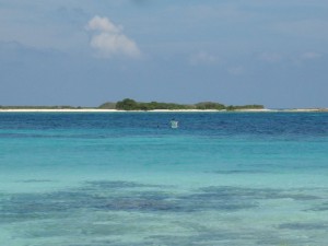 Isla Tortuga